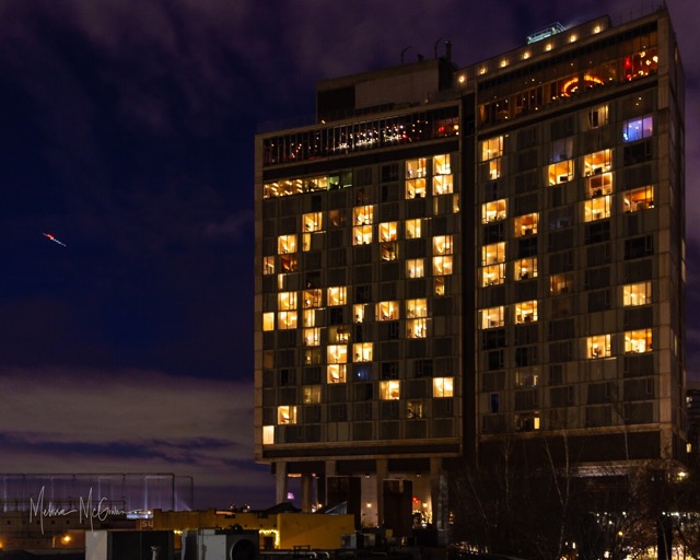 The Standard Hotel, 2014
